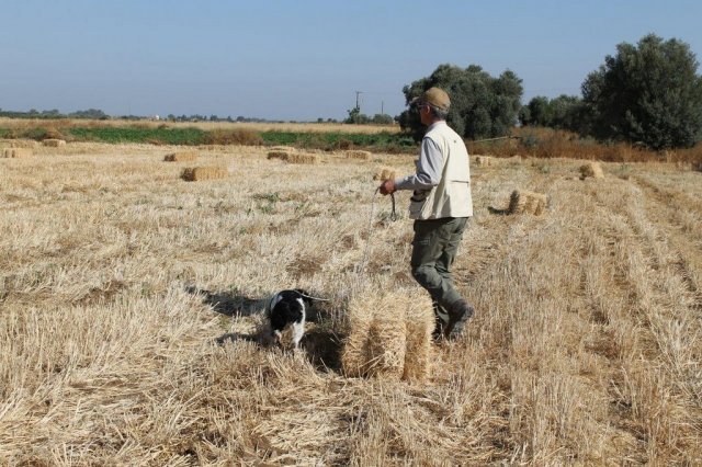 Αγωνες Α.Κ.Ι 11/6/2017